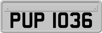 PUP1036
