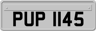 PUP1145
