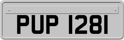 PUP1281