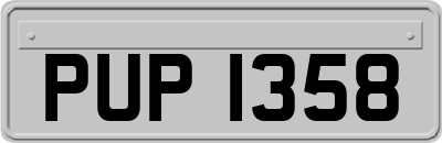 PUP1358