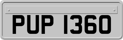 PUP1360