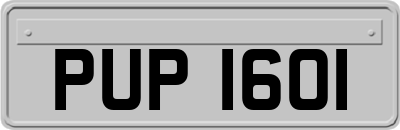 PUP1601