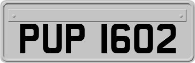 PUP1602