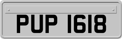 PUP1618
