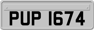 PUP1674