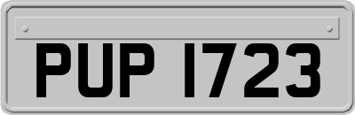 PUP1723