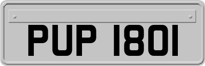 PUP1801