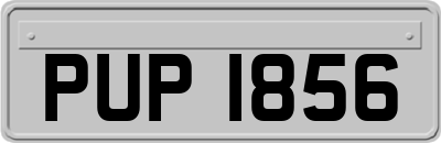 PUP1856