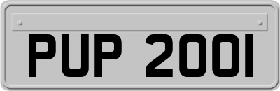 PUP2001