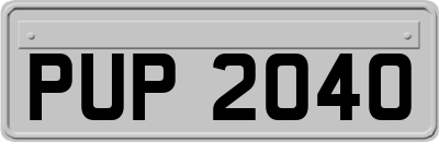 PUP2040