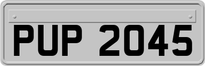 PUP2045