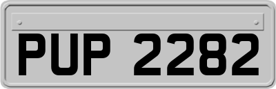 PUP2282