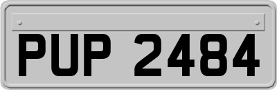 PUP2484