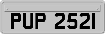 PUP2521