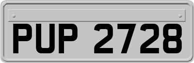 PUP2728