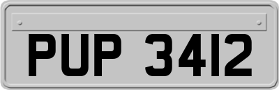 PUP3412