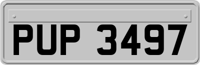 PUP3497