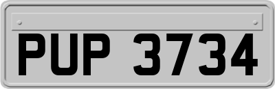 PUP3734