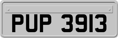 PUP3913