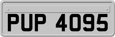 PUP4095