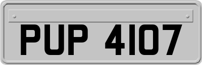 PUP4107