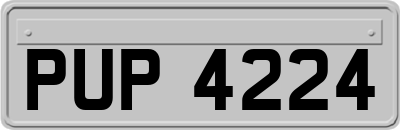 PUP4224
