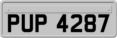 PUP4287