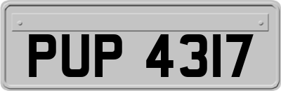 PUP4317