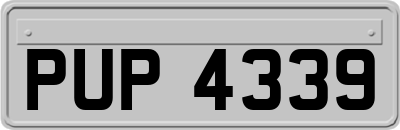 PUP4339