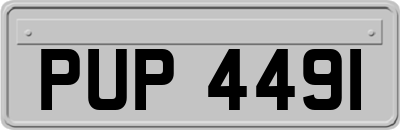 PUP4491