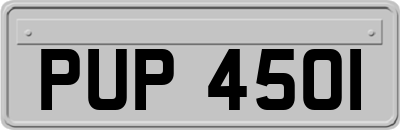 PUP4501