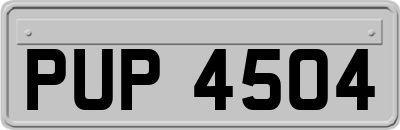 PUP4504