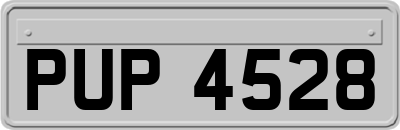 PUP4528