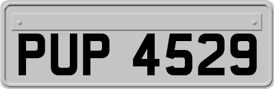 PUP4529