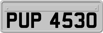 PUP4530
