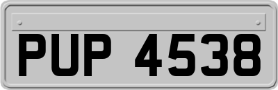 PUP4538