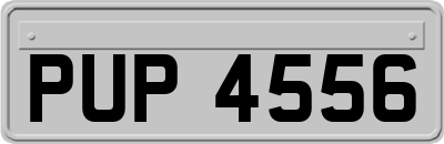 PUP4556