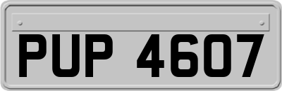PUP4607