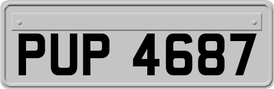PUP4687