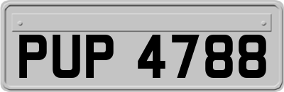 PUP4788