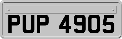 PUP4905