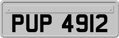PUP4912
