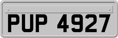 PUP4927