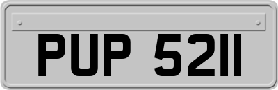 PUP5211