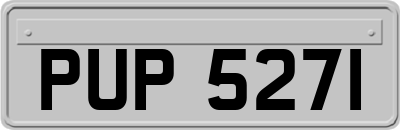PUP5271