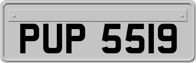 PUP5519
