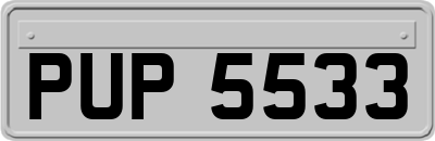PUP5533