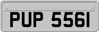 PUP5561