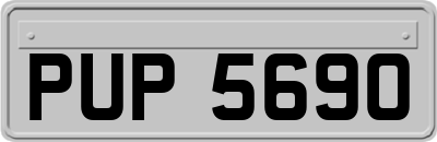 PUP5690
