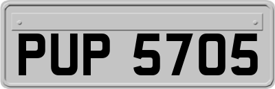 PUP5705